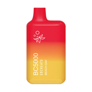 ebcreate bc5000 disposable beach day