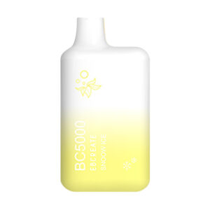 ebcreate bc5000 disposable snoow ice