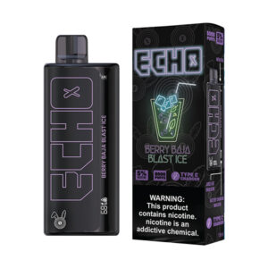echo 8000 puff disposable berry baka blast ice