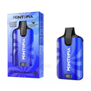 mintopia 6000 disposable blueberry minty os