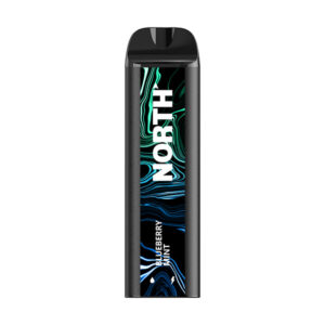 north 5k puff disposable blueberry mint