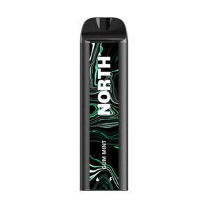 north 5k puff disposable gum mint