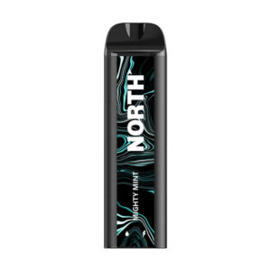 north 5k puff disposable mighty mint