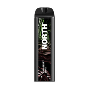 north 5k puff disposable raspberry mint