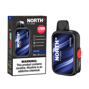 north freight train 12k puff disposable blue razz