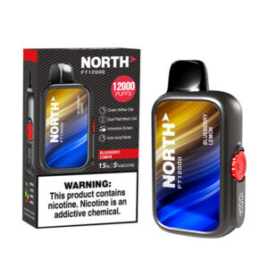 north freight train 12k puff disposable blueberry lemon