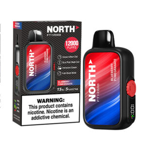 north freight train 12k puff disposable blueberry pomegranate