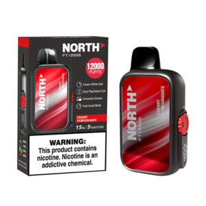 north freight train 12k puff disposable cherry pomegranate