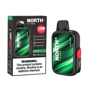 north freight train 12k puff disposable cool mint product single