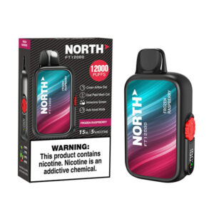 north freight train 12k puff disposable frozen raspberry