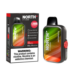 north freight train 12k puff disposable kiwi pineapple