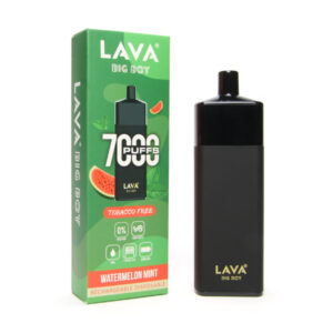Lava Big Boy Disposable Tobacco Free 0% 7000 Puffs Watermelon w Mint