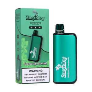 zanzabar 9000 puff disposable sweet spearmint