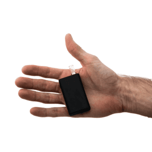 Black Box Palm